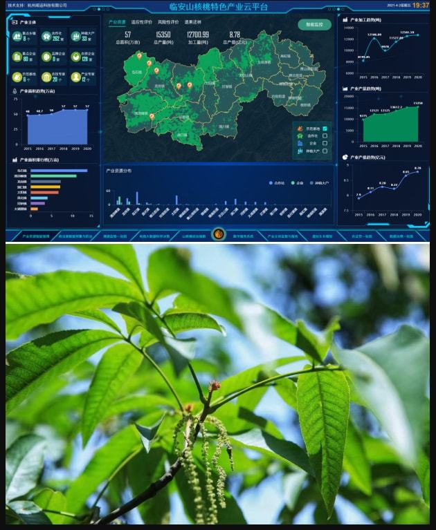 QQ刷赞网站链接